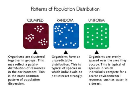 Toradh íomhá ar Random Distribution Examples