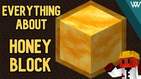Image result for How to Get Honey Blocks in Minecraft