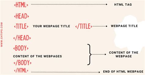 Image result for Basic Structure Of Html Code