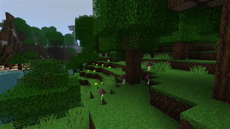 Afbeeldingsresultaten voor Is OptiFine Safe