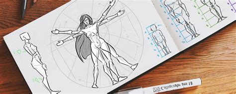 Afbeeldingsresultaten voor Proportion Anatomie Corps Humain