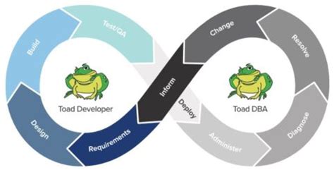Image result for Toad Query Optimizer