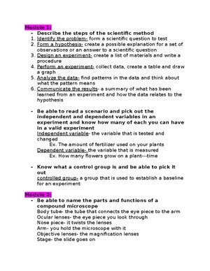 Image result for Observation in Diffusion Lab