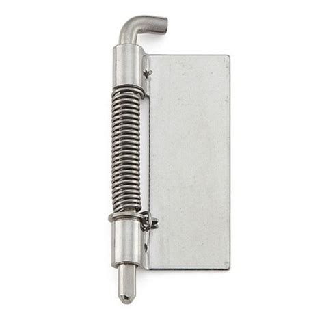 Image result for Spring Loaded Pivot Hinge