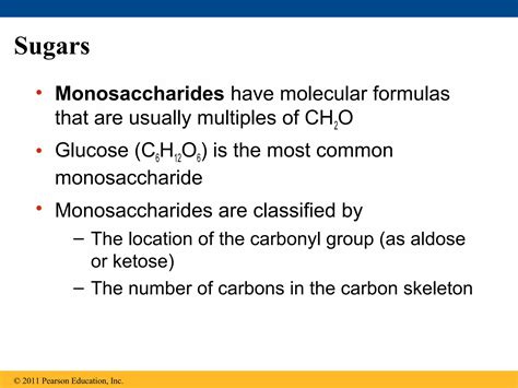 Image result for Large Biological Molecules