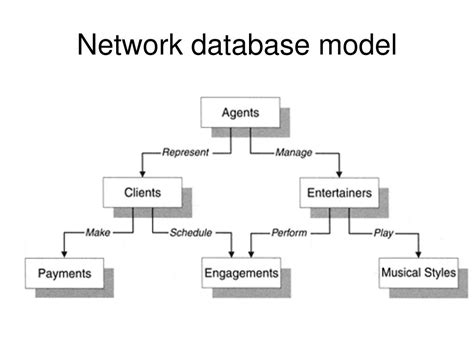 Image result for Example of Hierarchical Database