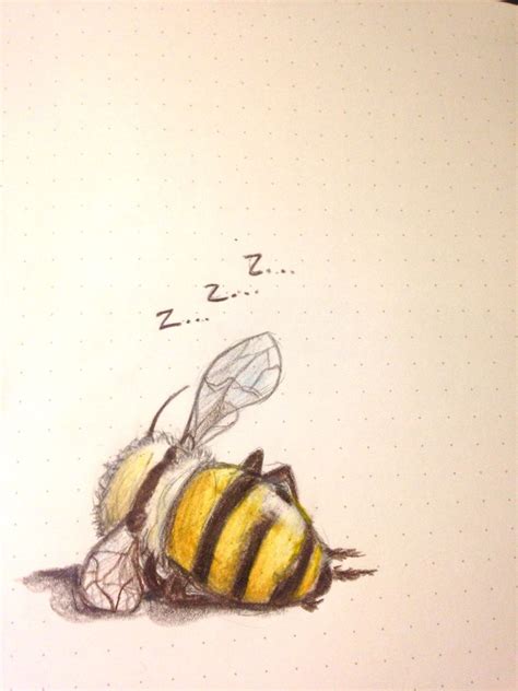 World's Best Drawing Bee に対する画像結果