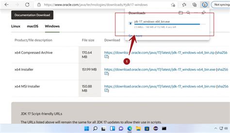 Java File in Windows 11 Logo に対する画像結果