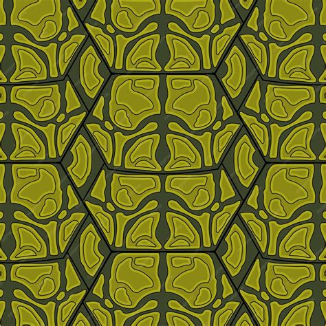 Image result for Real Baby Turtle Shell Pattern