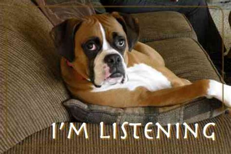 Hi I'm Listening Song に対する画像結果