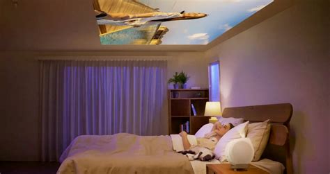 Afbeeldingsresultaten voor Portable Ceiling Projector