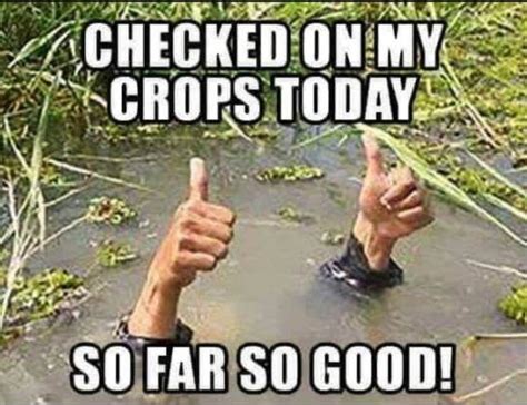 Image result for Farming Cheat Code Meme