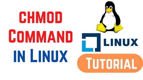Image result for Linux Chmod Used