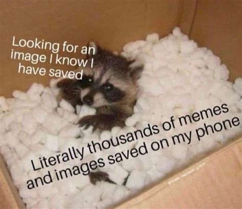 Image result for Storage Memes Database