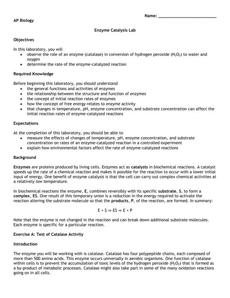 Catalyst Lab Report Pic എന്നതിനുള്ള ഇമേജ് ഫലം