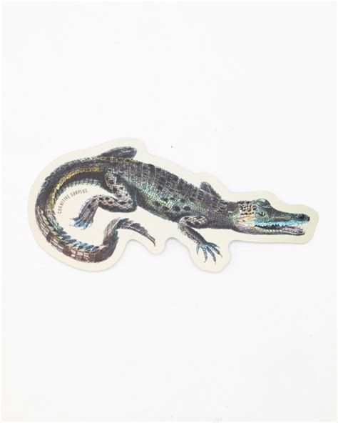 Toradh íomhá ar Cognitive Window Sticker Machine