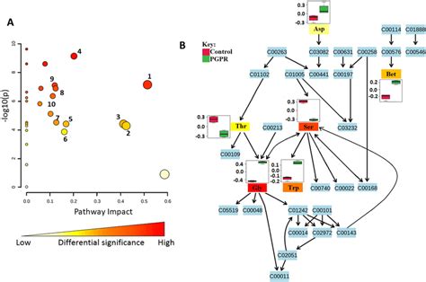 Toradh íomhá ar Experimental Analysis of Metabolic Pathway