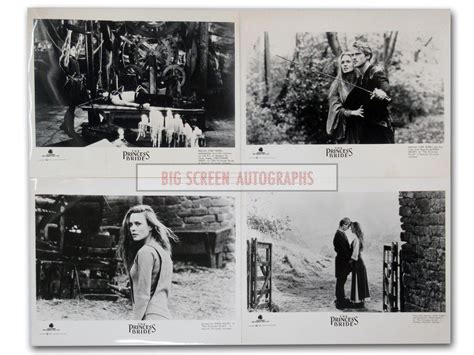 Image result for The Princess Bride Press Kit