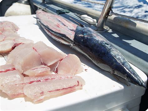 How to Cook Wahoo Fish に対する画像結果