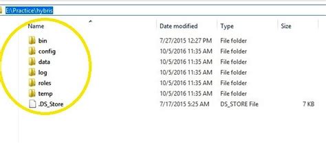 Image result for Java in Simple Way Hybris