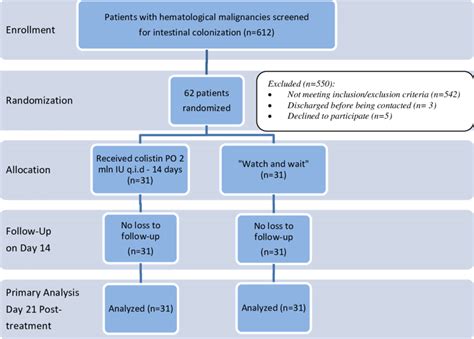 Randomized Control Trial Flow Chart Image に対する画像結果