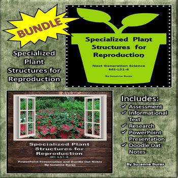 Image result for Specialized Plant Structures