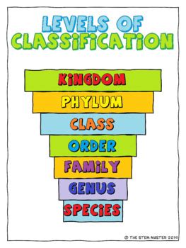 Image result for Classification Levels Template