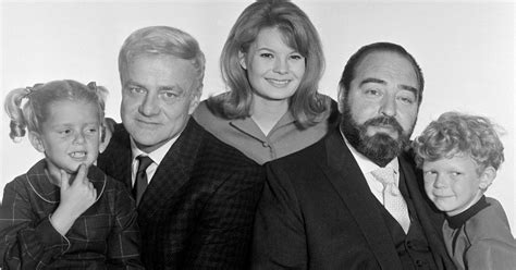Image result for 60s Sitcoms