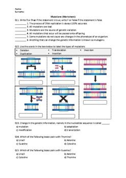Image result for Mutation Foldable Answer Key