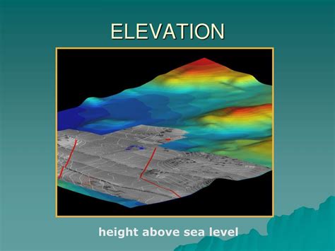 Image result for Elevation Design for a Duplex Hpuse