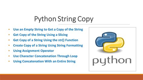 Image result for How to Select and Copy a Paragraph with Python
