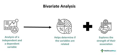 Toradh íomhá ar Bivariate Data Analysis Examples
