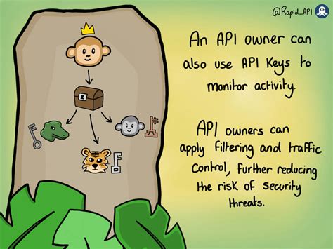 Image result for API Key Meaning
