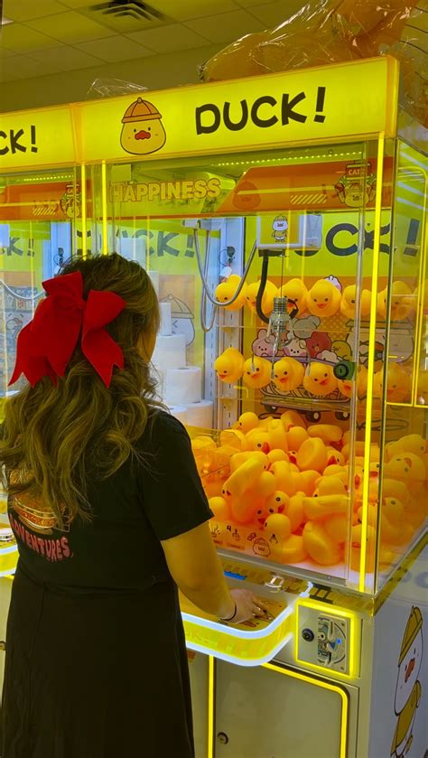 تصویر کا نتیجہ برائے Duck 2P Machine