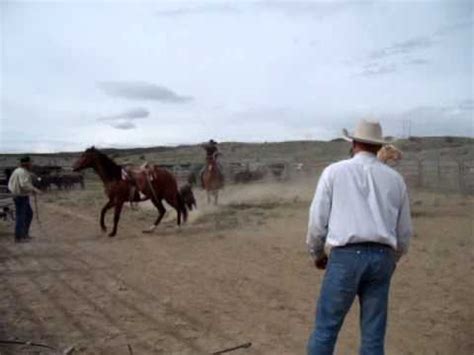 Image result for Cowboy Making a Loop Image