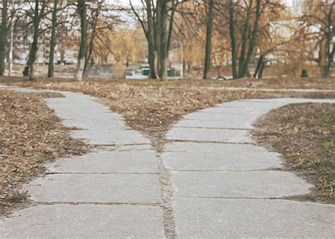 Split-Path Vector に対する画像結果