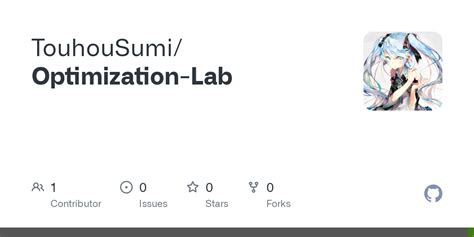 Image result for Optimization Lab