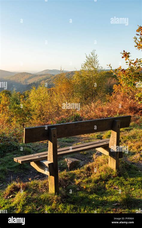 Image result for Bench View to Tree Tops in North Wales
