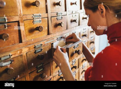 Image result for Archive Database Library