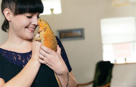 Image result for Multiple Dogs Zoo