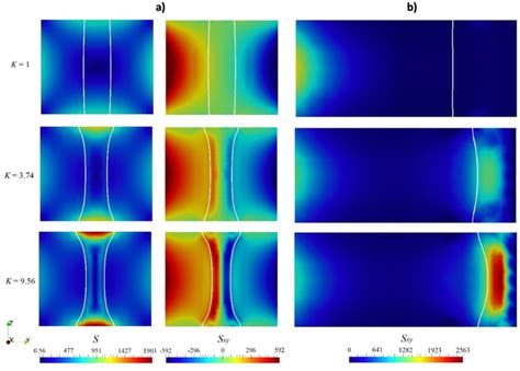 Strain Rate Tensor に対する画像結果