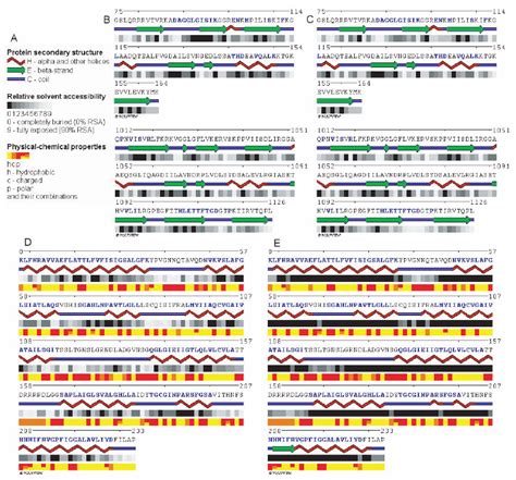 Image result for Protein Sequence Example