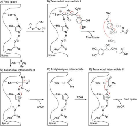 Transesterification | PLOS ONE