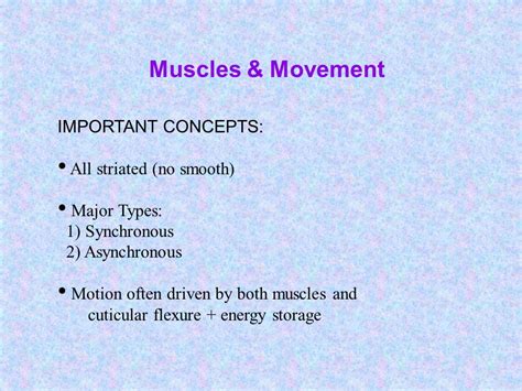 Toradh íomhá ar Synchronous Vs. Asynchronous Muscles Insects