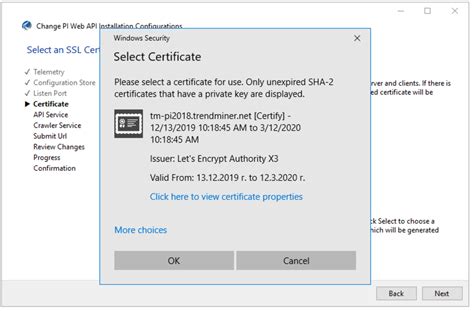 Toradh íomhá ar Ses Web API
