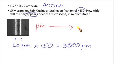 Toradh íomhá ar Specimen Measuring Microscope