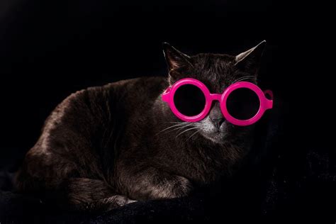 Image result for Negatve Color of Pink