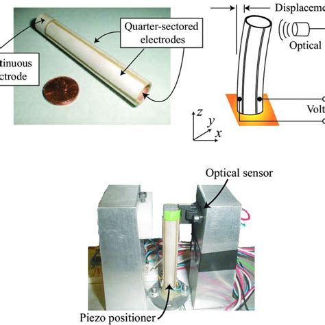 Image result for Scanning Probe Microscope Diagram