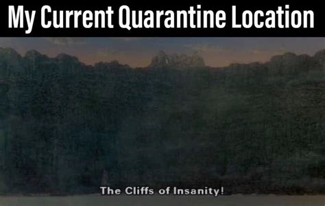 Toradh íomhá ar Princess Bride Covid Memes