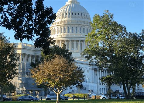 Image result for 202 Area Code